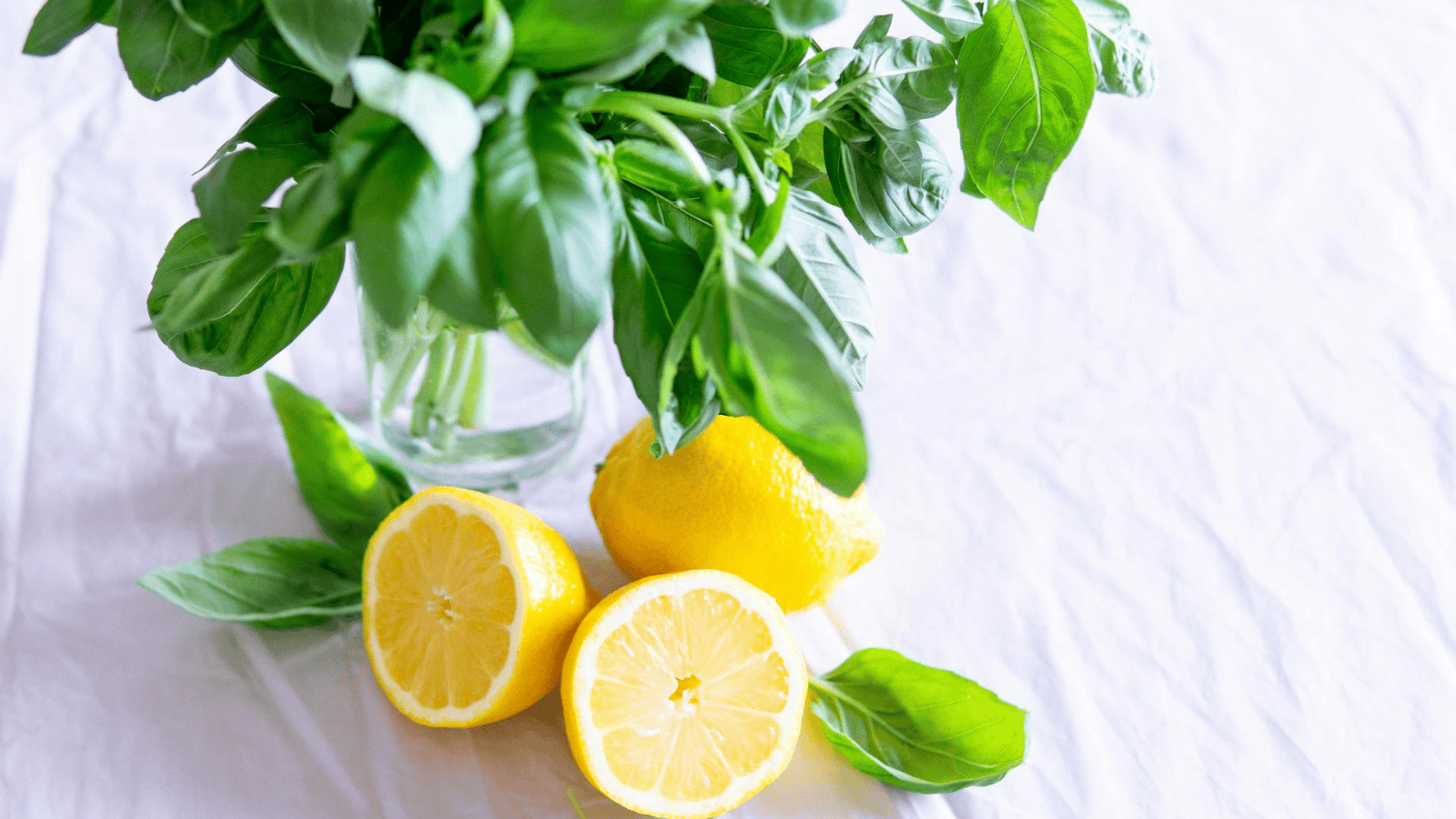A bunch of fresh green basil leaves sits in a glass jar on a white surface, perfect for infused water recipes. In front of the jar are two whole lemons, one halved to reveal its juicy pulp. A few loose basil leaves are scattered around, adding a fragrant touch to any refreshing concoction.
