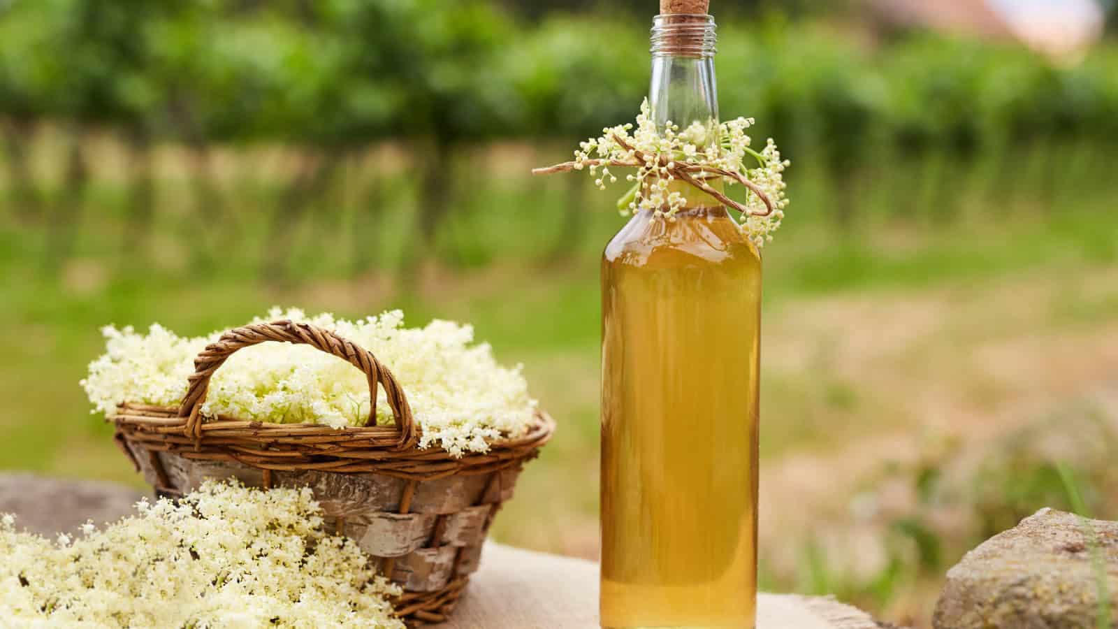 A bottle filled with a light golden liquid is adorned with small white flowers near its neck. Next to it is a basket filled with similar white flowers. The background features a blurred vineyard and greenery.