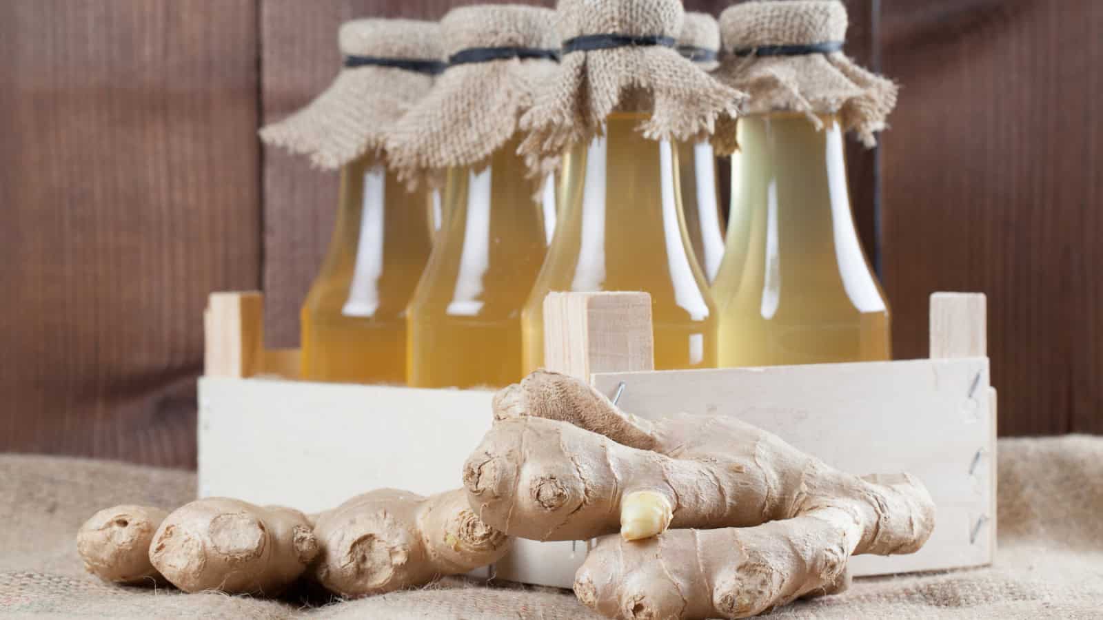 A wooden crate holds several glass bottles filled with a light yellow liquid, each bottle topped with a fabric cover tied with string. In the foreground, there are several pieces of fresh ginger root on a burlap surface.