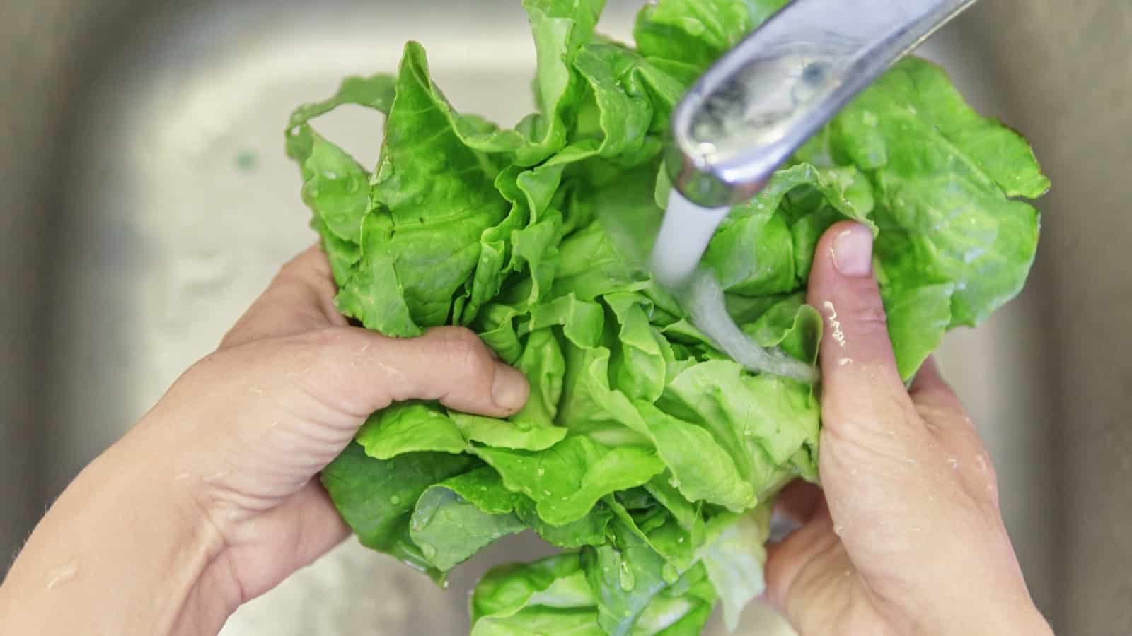 Two hands are holding and rinsing fresh green lettuce leaves under a stream of water from a faucet. The vegetables are being cleaned in what appears to be a kitchen sink. The image emphasizes the act of washing produce before consumption or preparation.