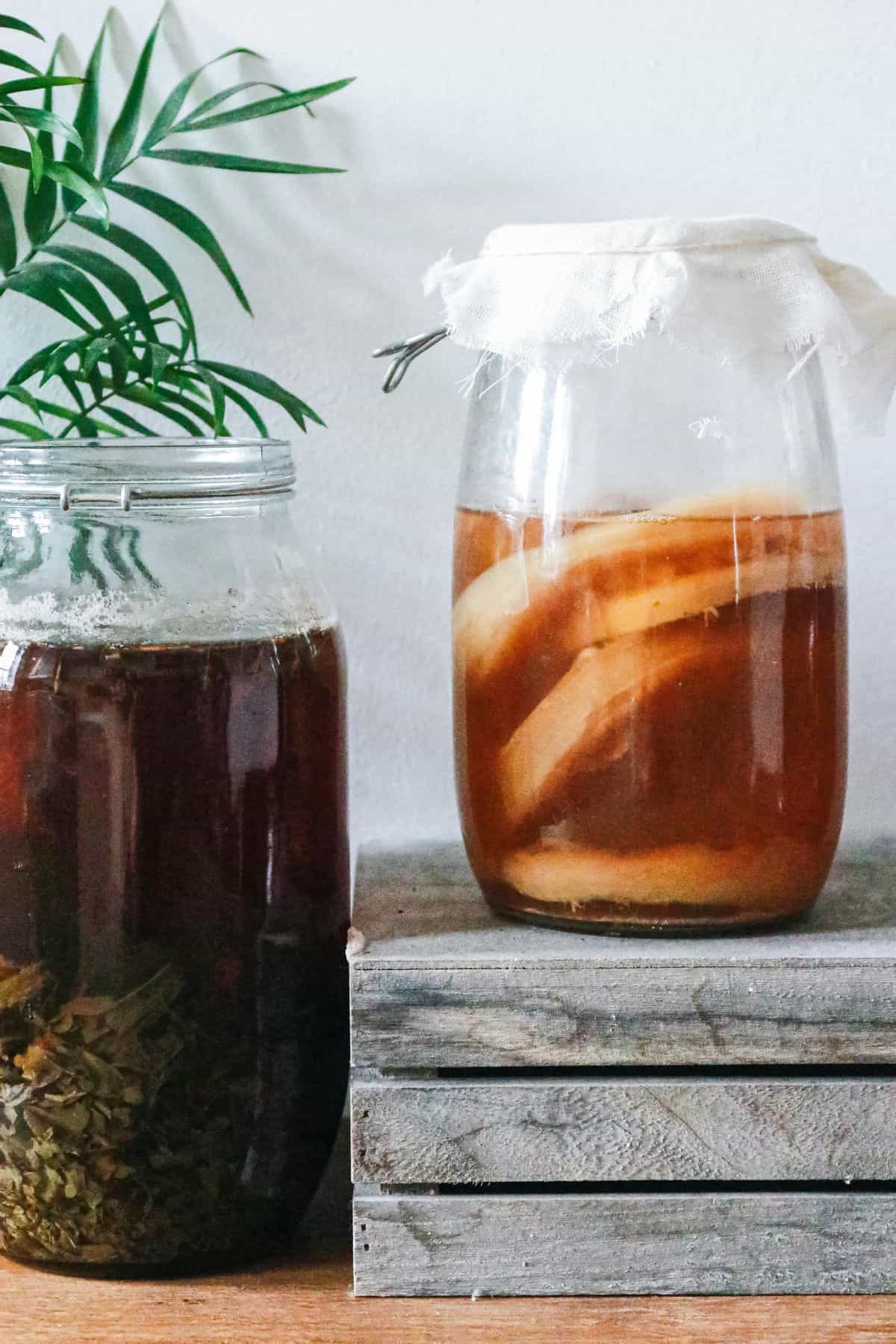 Two jars sit side by side on a wooden surface. The jar on the left contains a dark liquid with floating leaves and a green plant in the background. The jar on the right contains a light brown liquid with scoby and is covered with a cloth secured by a metal clip.
