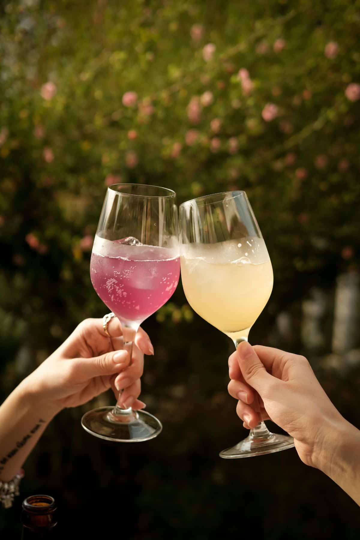 Two hands clinking wine glasses outdoors, one containing a pink drink and the other a yellow drink. The background is blurred, featuring green foliage with pink flowers.