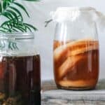 Two jars of kombucha sit on a wooden surface. One jar is covered with a cloth, while the other has a regular lid. The jars contain brown liquid with visible scoby layers inside. A green plant is partially visible on the left side of the image.