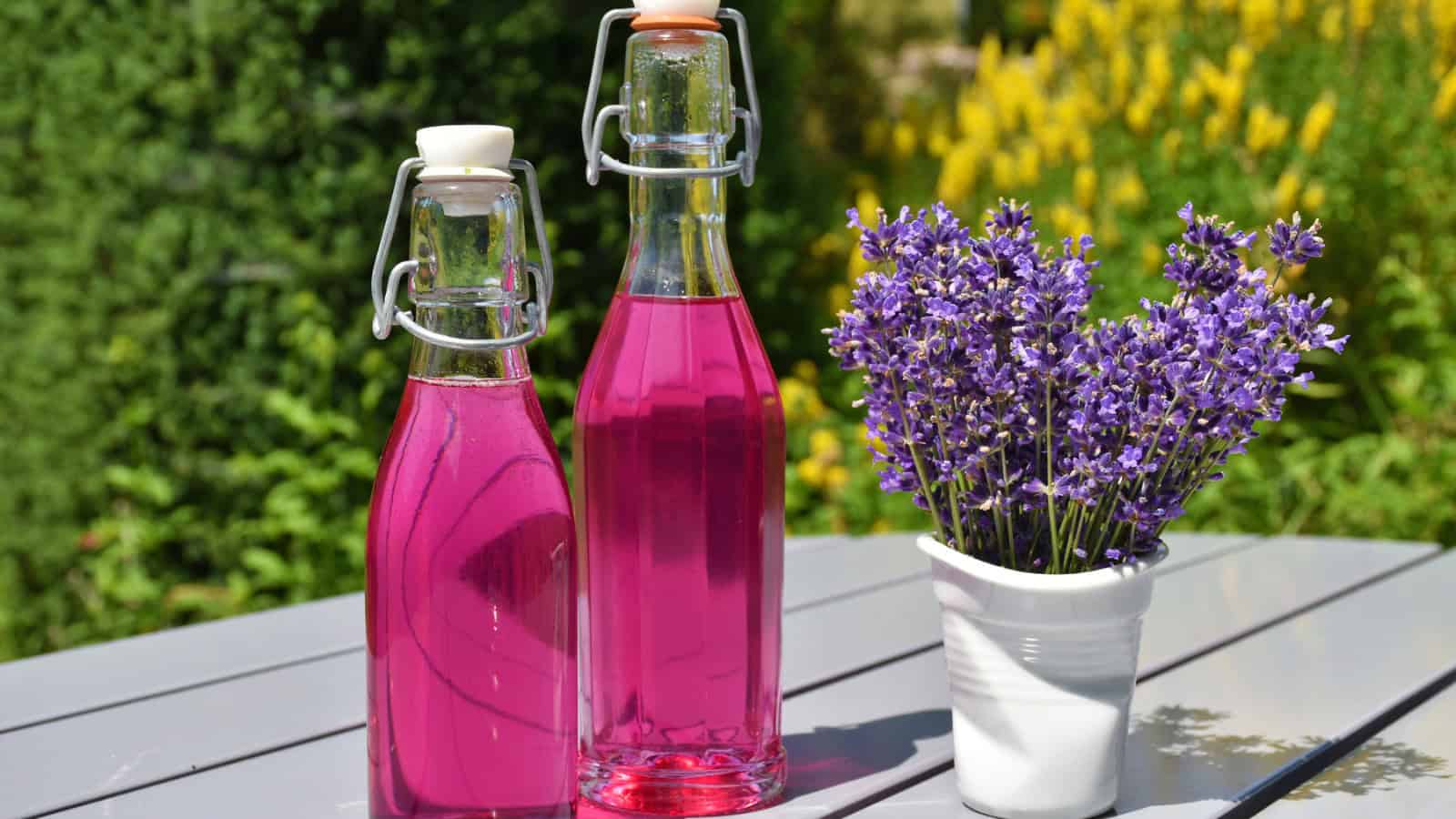 Two glass bottles filled with pink liquid sit on a gray table outdoors. The bottles have swing-top stoppers. Beside them is a small white pot containing a bunch of purple lavender flowers. Green foliage and yellow flowers are visible in the background.
