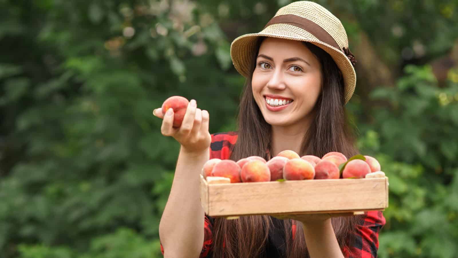 A woman with long brown hair, wearing a hat and a red plaid shirt, smiles and holds a wooden box full of peaches with one hand while holding a single peach with the other hand. She is standing outdoors with green foliage in the background.