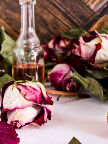 A still-life setup featuring dried roses, with small glass bottles containing amber-colored liquid partially surrounding the flowers on a wooden surface.