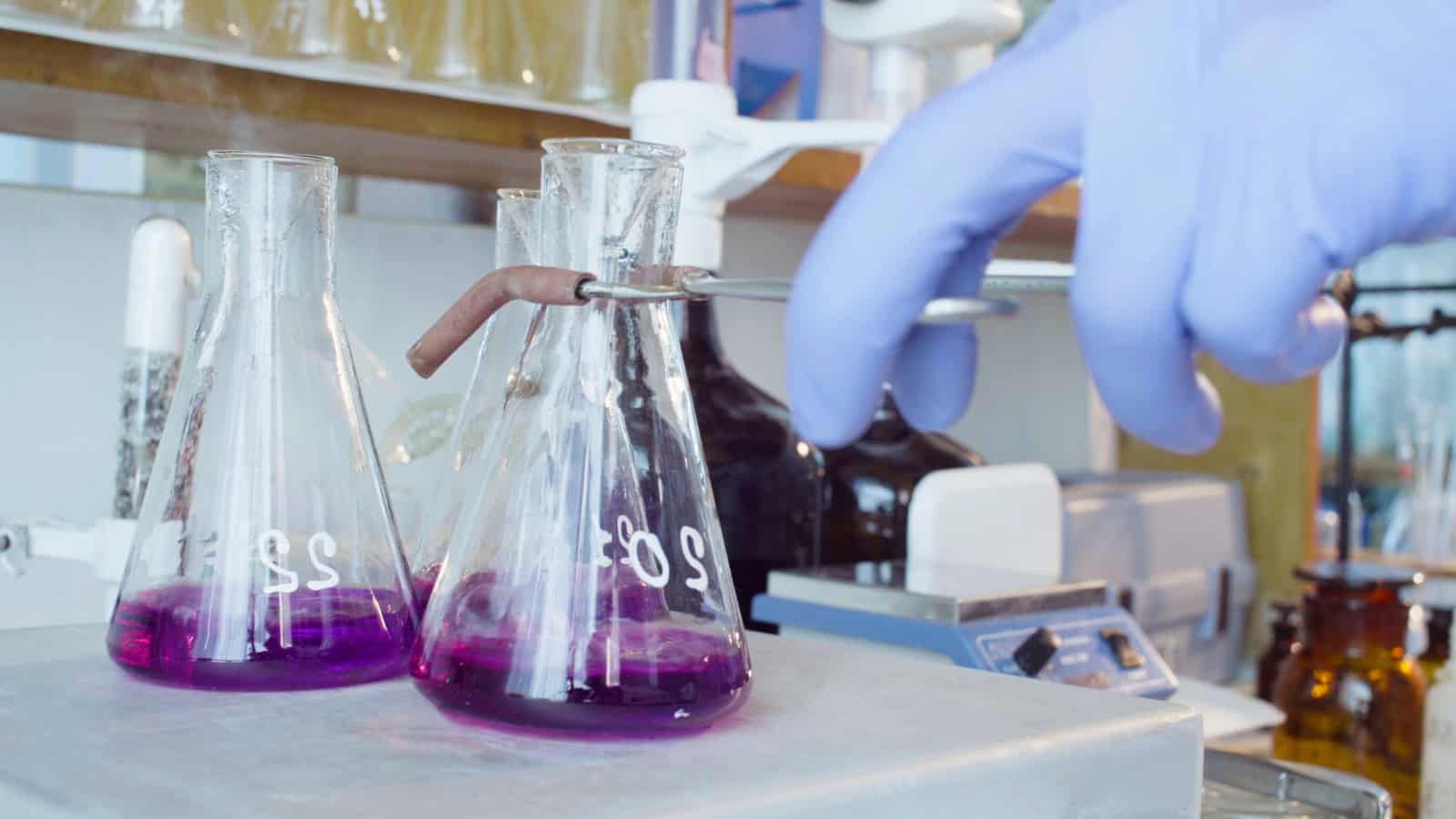A gloved hand holding a pair of tongs adjusts a small piece of equipment over two Erlenmeyer flasks containing purple liquid, which are both resting on a hot plate. Various lab equipment and glassware are in the background.