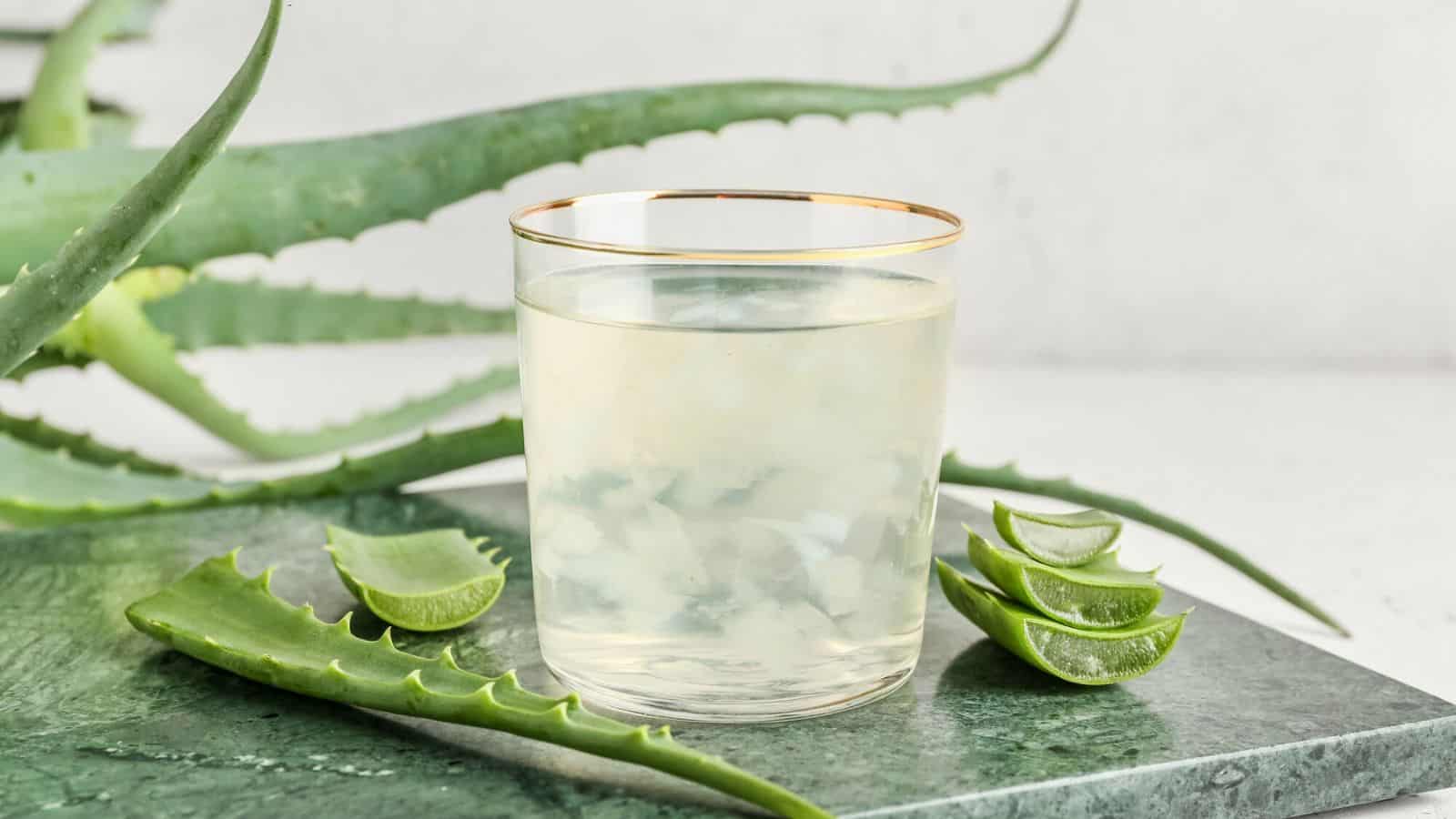 Aloe vera juice in a glass with sliced aloe vera and an aloe vera plant in the background