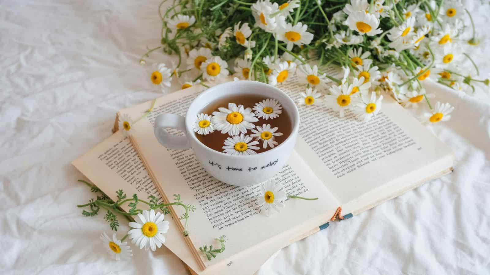 A white cup filled with tea is garnished with white daisies and sits on an open book. Additional chamomiles are scattered around the book's pages and nearby. The scene is set against a white backdrop and conveys a calm, floral aesthetic.