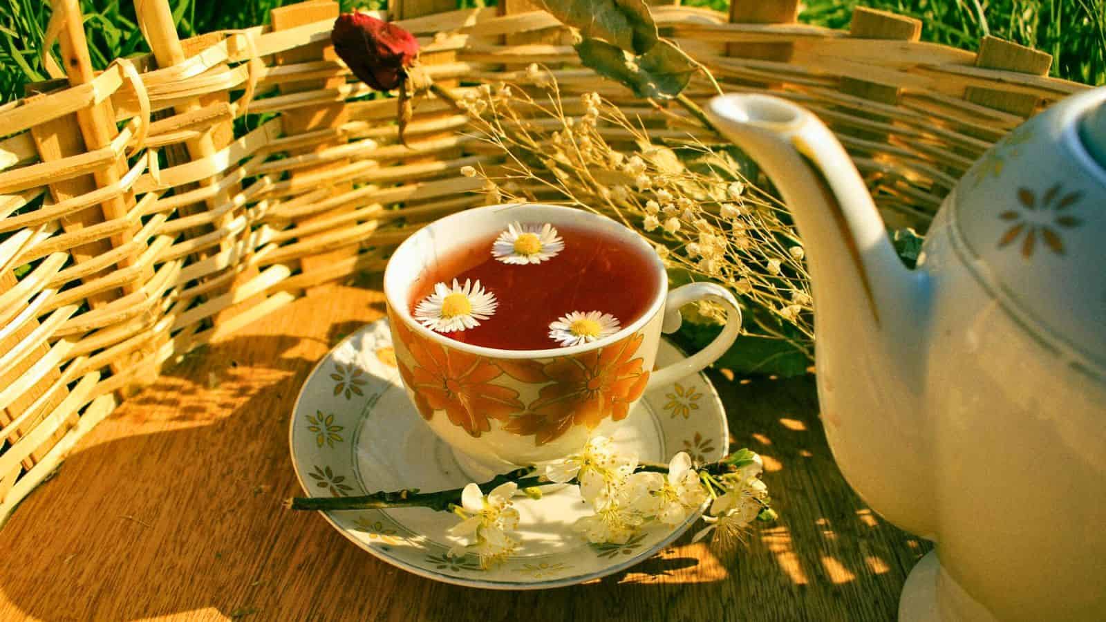 A white teacup with a floral pattern holds tea with floating daisies, placed on a matching saucer. A white teapot with a floral design sits beside it. A dried red rose and yellow flowers are in the background, with a woven basket visible behind them.