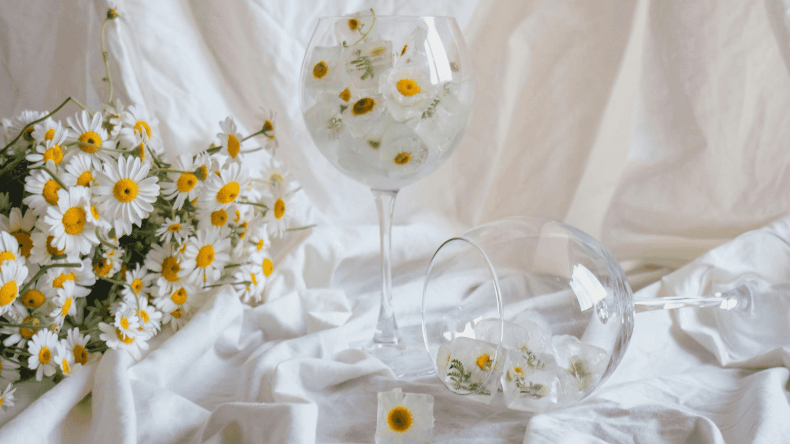A bouquet of daisies lies on a white cloth next to two large wine glasses. One, standing upright, is filled with ice cubes and small flowers from unusual plants for winemaking, while the other glass is tipped over on its side.