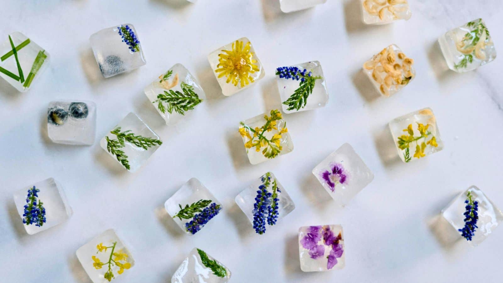 Several ice cubes are scattered on a surface, each containing a different type of flower or plant inside. The flowers and plants vary in color and type, including yellow, purple, and green hues. 