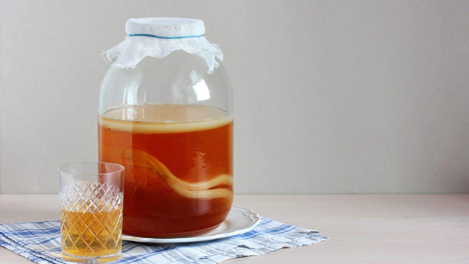 A large glass jar with kombucha sits on a white plate, covered with a cloth secured by a blue elastic band