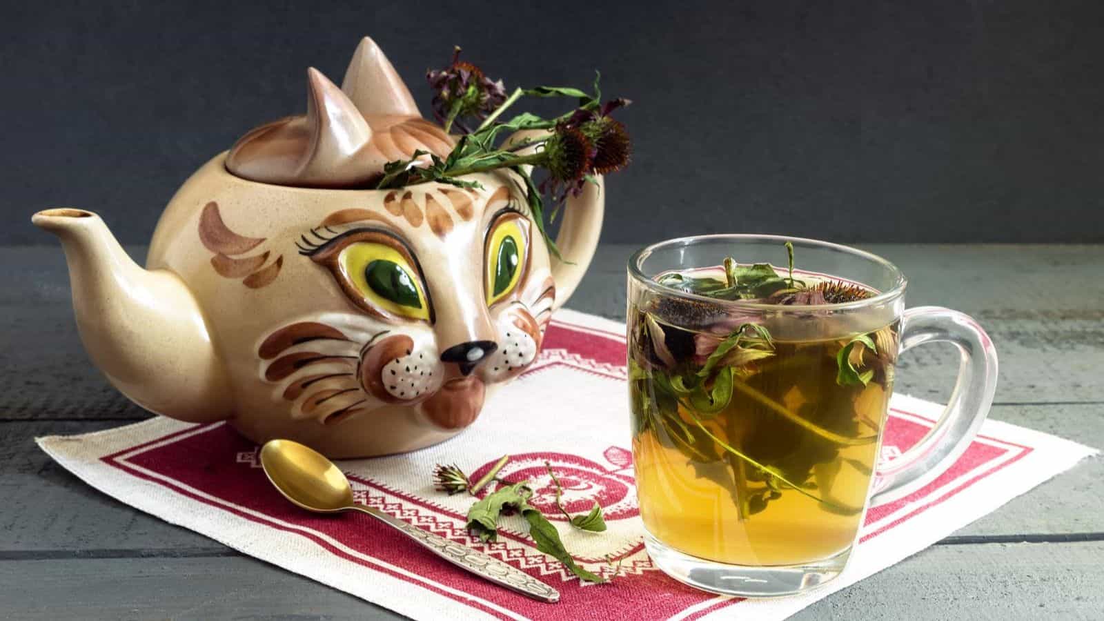 A ceramic teapot shaped like a cat, adorned with herbs, sits on a red and white cloth alongside a clear glass mug filled with herbal tea. A small gold spoon is placed next to the mug, and some herbs are scattered around on the cloth.