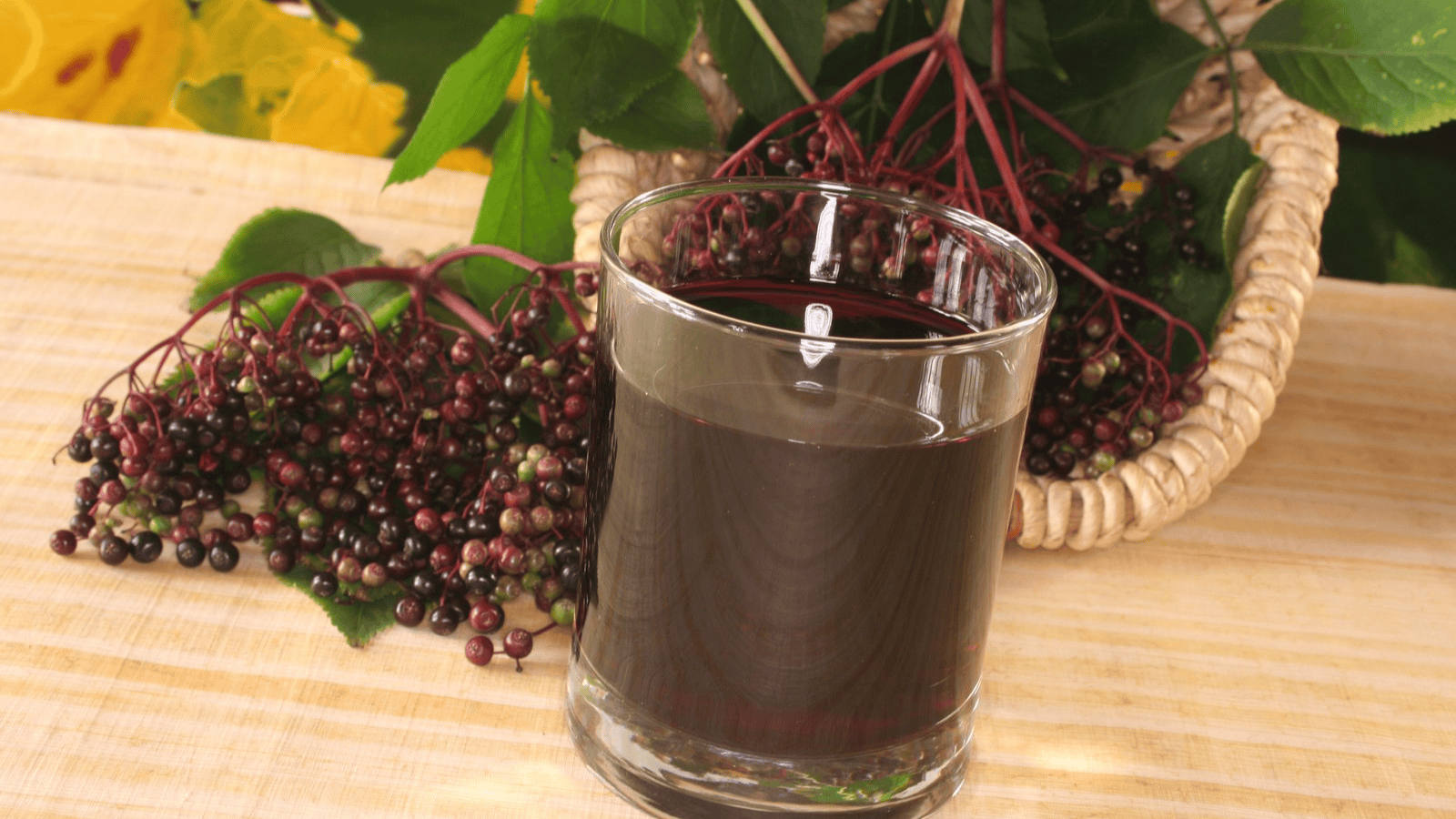 A clear glass filled with dark purple elderberry juice is placed on a wooden surface. Behind the glass, a bunch of elderberries with stems rests, showcasing one of the unusual plants for winemaking. Bright green leaves are visible in the background, adding a touch of nature's elegance.