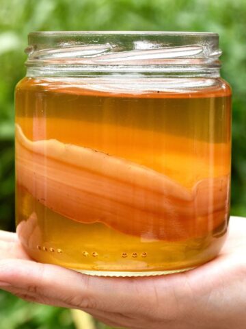 Close-up of a hand holding a glass jar filled with kombucha