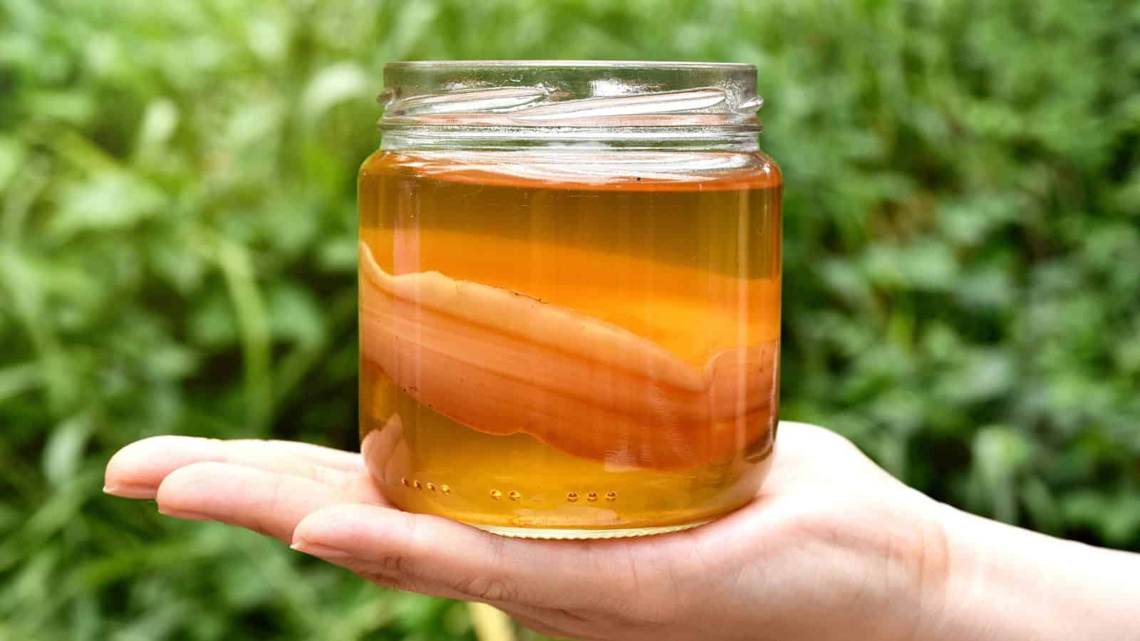 Close-up of a hand holding a glass jar filled with kombucha