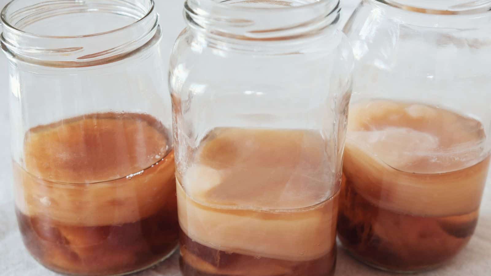 Three glass jars filled with kombucha and SCOBYs.
