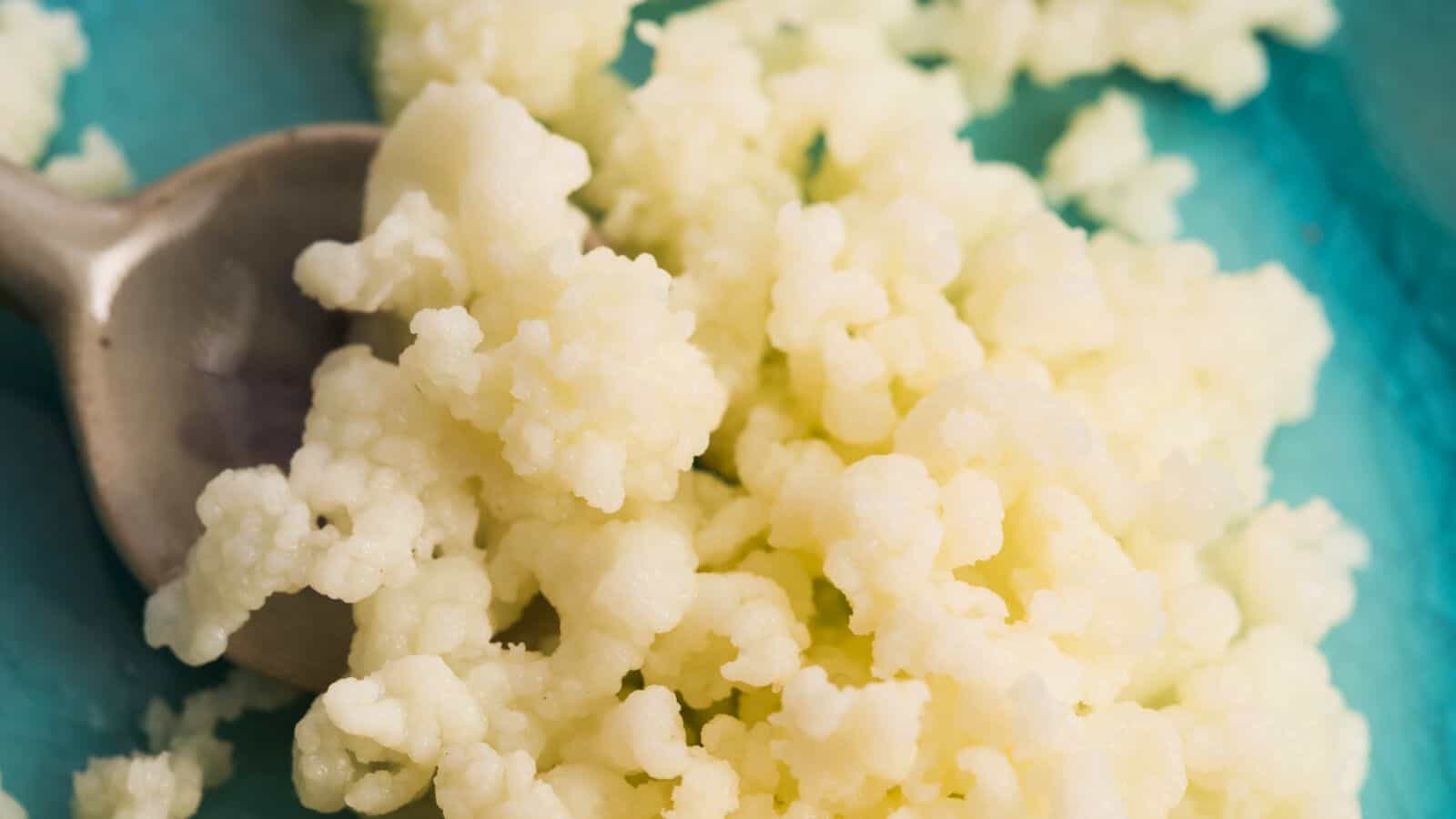 Close-up of white, soft-textured kefir grains on a blue surface, with a silver spoon partially visible on the left. The grains appear lumpy and clustered, characteristic of their fermented nature.