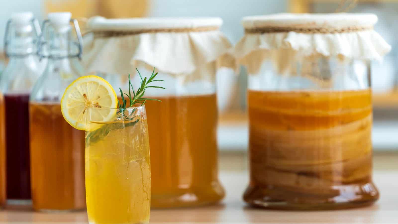 A glass of kombucha garnished with a lemon slice and rosemary is on a counter. In the background are large glass jars of kombucha.