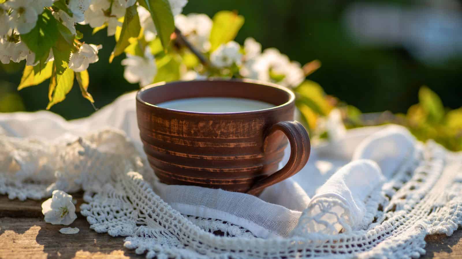A brown ceramic mug filled with kumis is placed on a wooden surface. The mug rests on a white lace cloth surrounded by blooming white flowers with green leaves. 