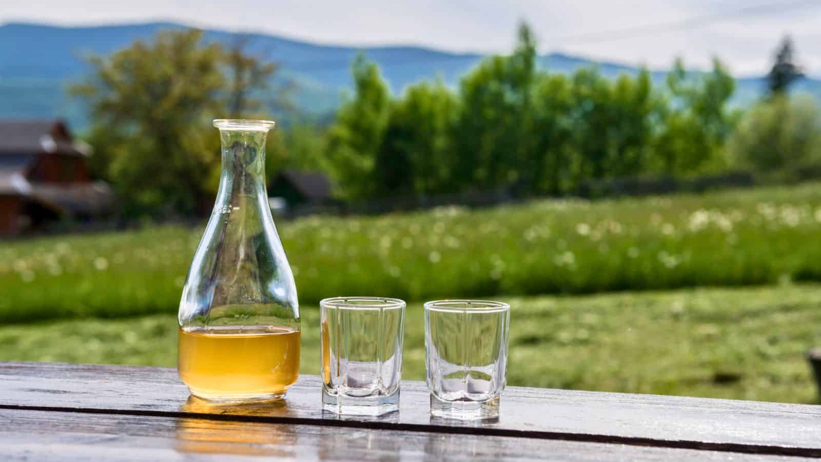 A glass carafe containing a light amber-colored liquid is placed on an outdoor wooden table. Two empty shot glasses are beside it. 