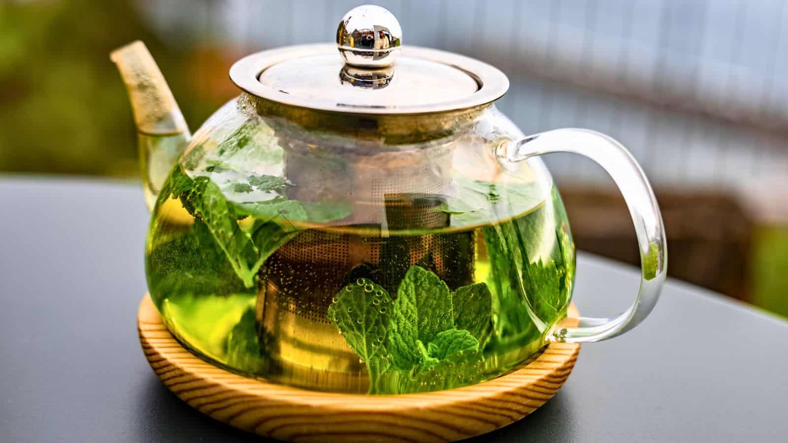 A clear glass teapot filled with green tea and fresh mint leaves sits on a wooden coaster. The teapot has a metal strainer and lid, and is placed on a dark surface with an out-of-focus background.
