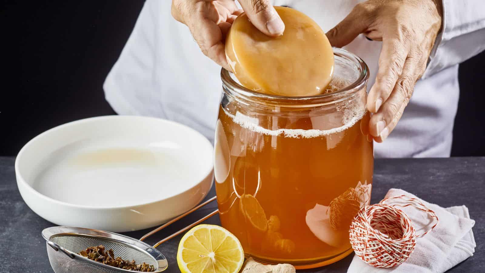A person is placing a large SCOBY into a glass jar filled with kombucha