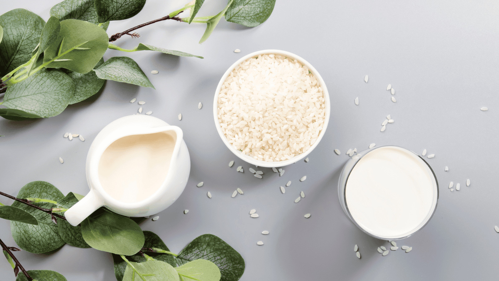 A bowl of rice, a jug of plant-based dairy milk substitute, and a glass of the same are arranged on a light gray surface. Green leafy branches frame the composition, while scattered rice grains add texture around the items.