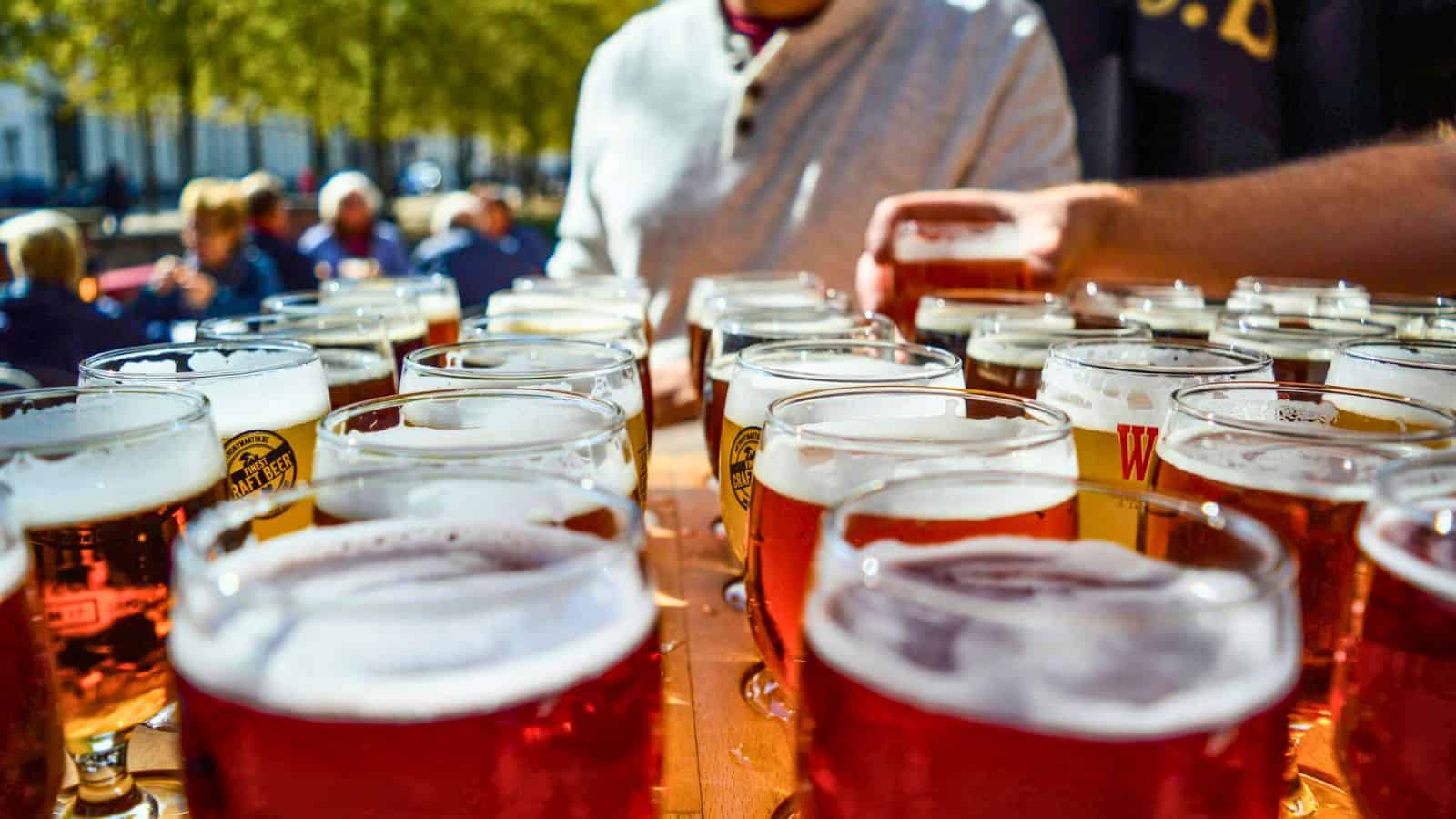 Close-up shot of rows of glasses filled with beer