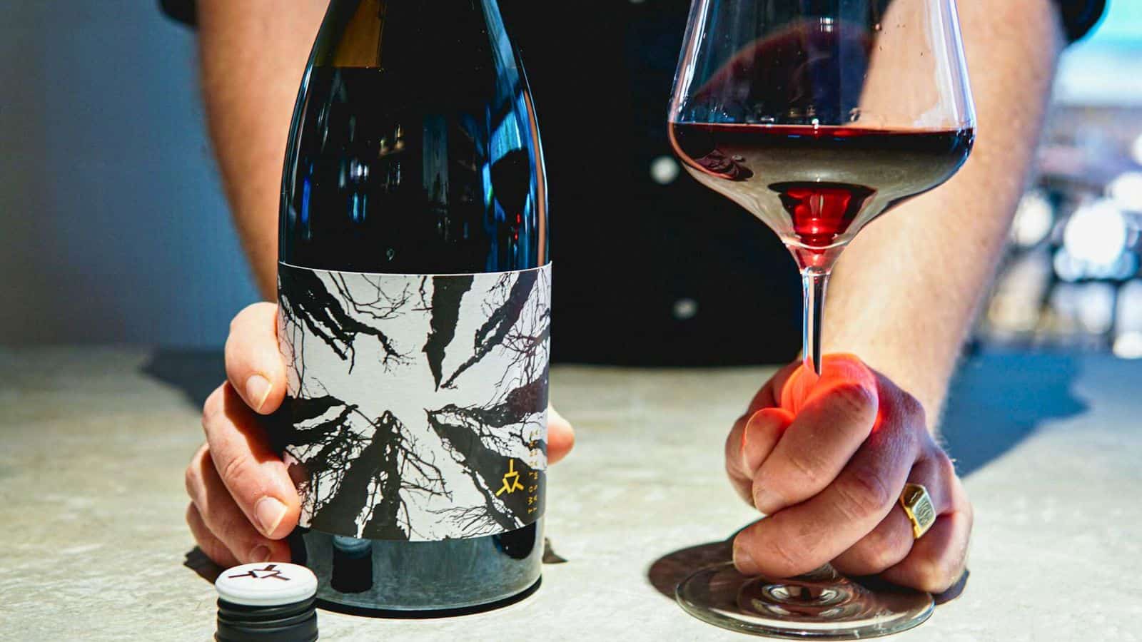 Bottle of red wine and a wine glass beside it