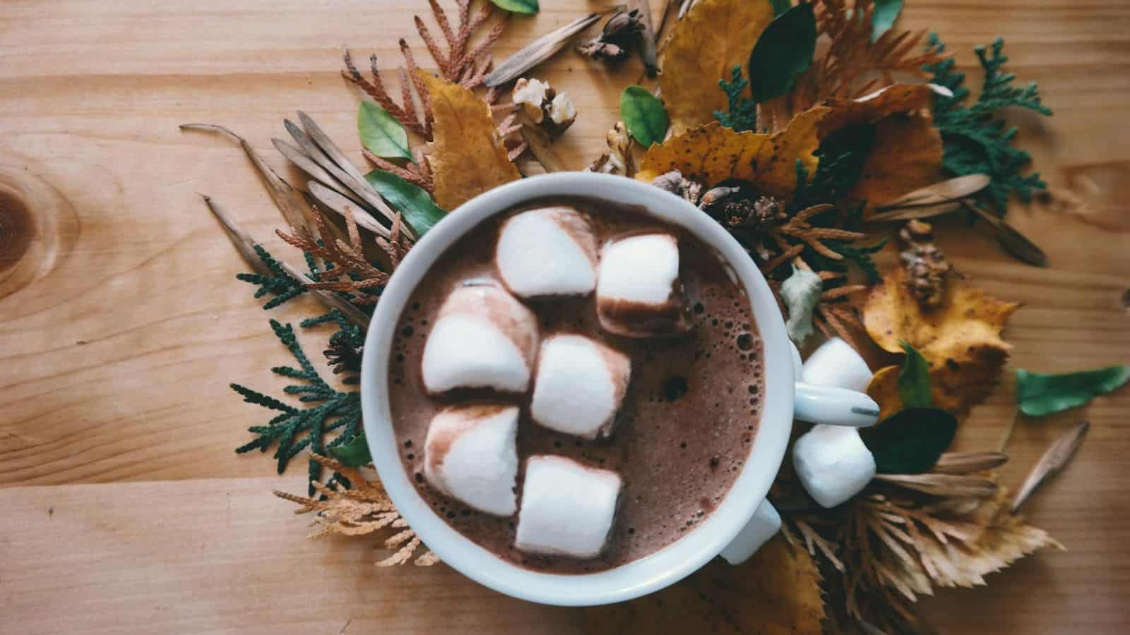 A cup of dark chocolate hot cocoa with marshmallows on top