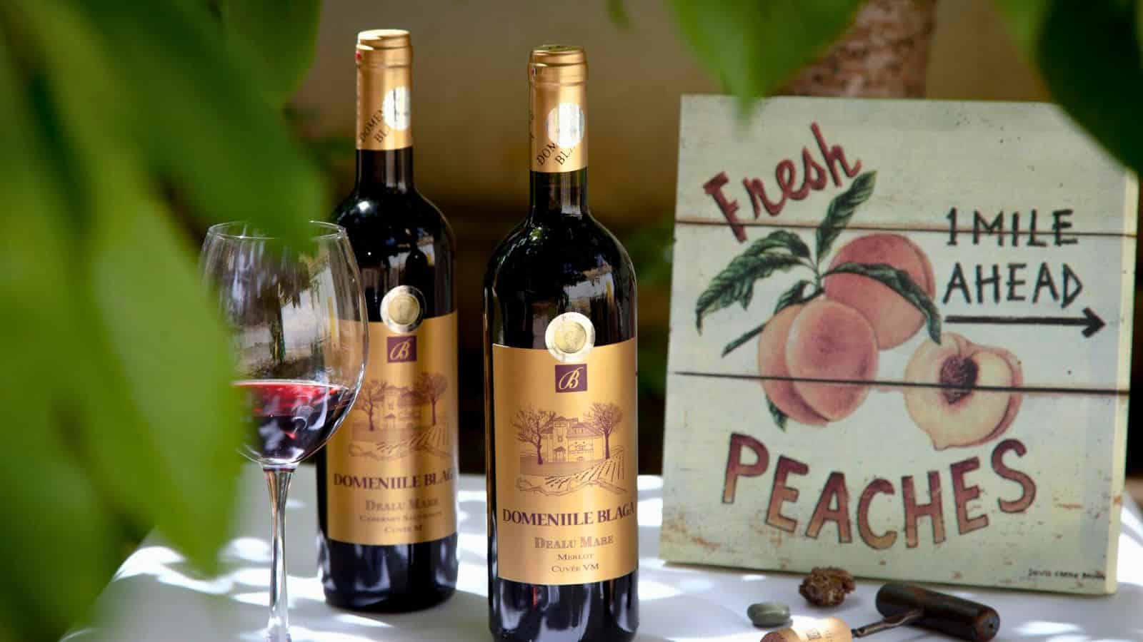 Two bottles of Merlot wine and a wine glass on the side