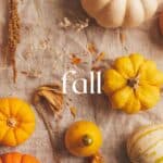 Fall