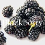 Blackberry