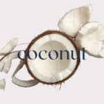 Coconut