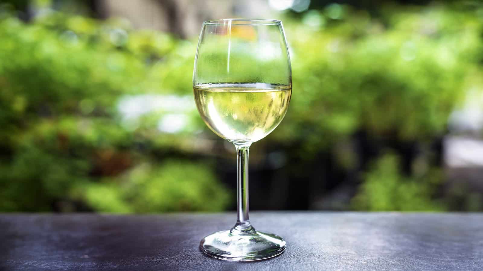 A glass of white wine with plants at the background.