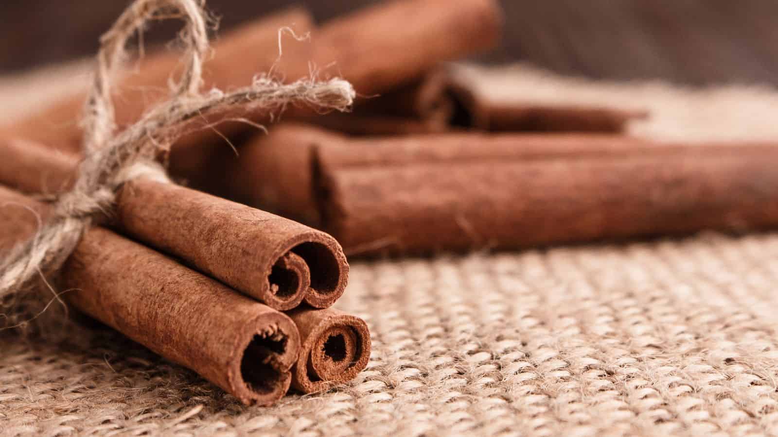 A bundle of cinnamon sticks tied with twine rests on a burlap surface, evoking one of the best candle scents. Other loose cinnamon sticks are blurred in the background.
