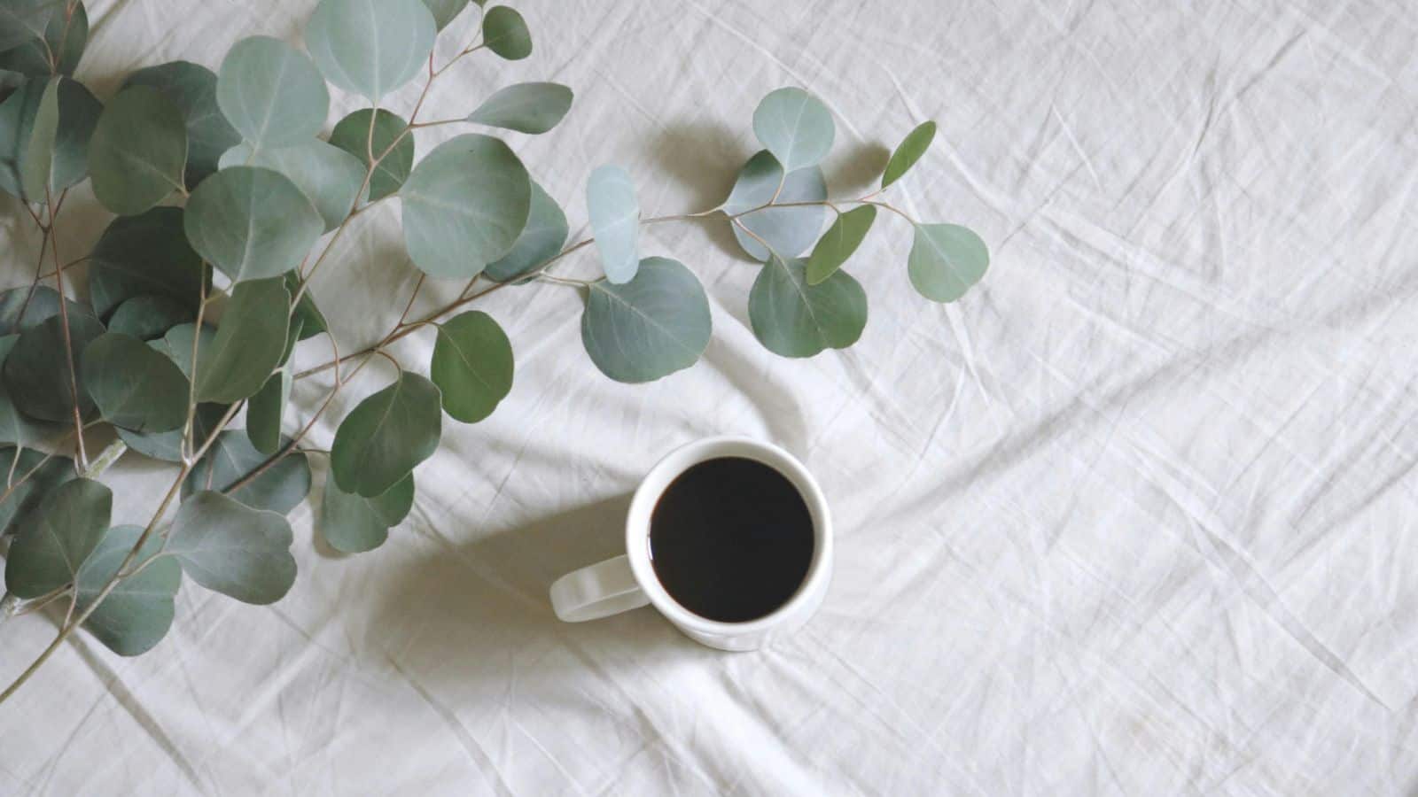 A white cup filled with black coffee is placed on a white cloth surface. To the left of the cup, there is a branch with green eucalyptus leaves.