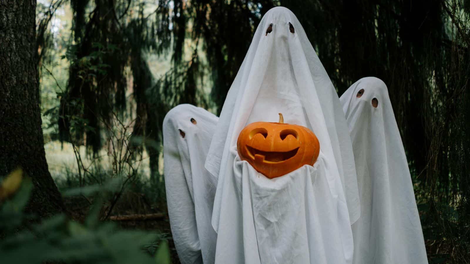 Three figures draped in white sheets with cut-out eye holes stand outdoors holding a carved pumpkin with a smiling face. The background features dense, dark green foliage, suggesting a forest setting.