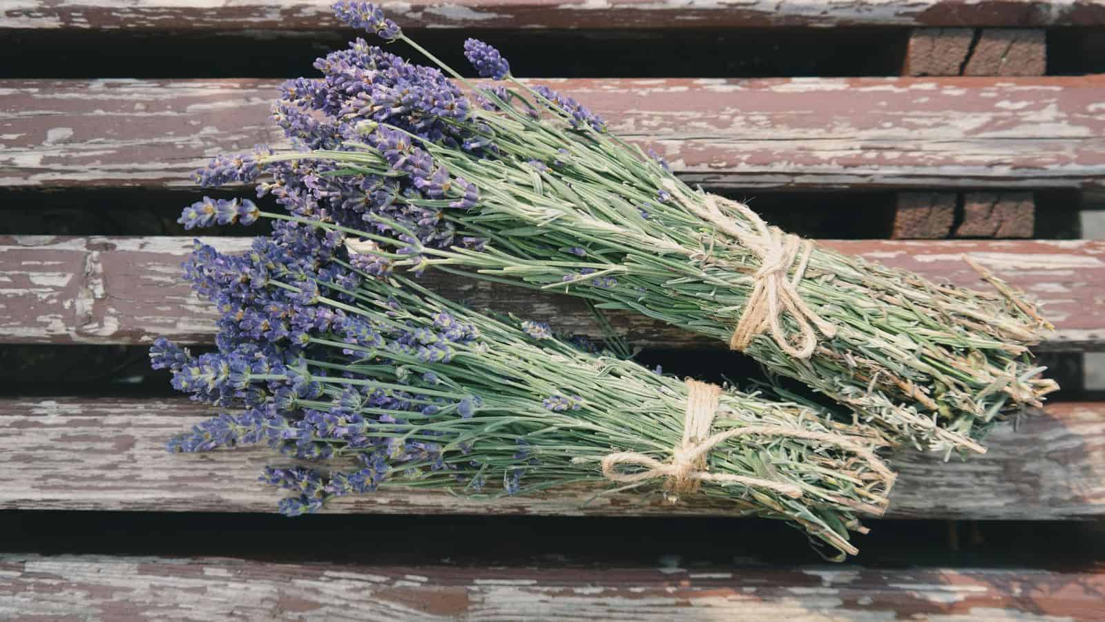 Two bundles of lavender tied with twine rest on a weathered wooden surface. The lavender stems are green, and the flowers are a light purple color. The wood displays signs of age, with peeling paint and cracks.