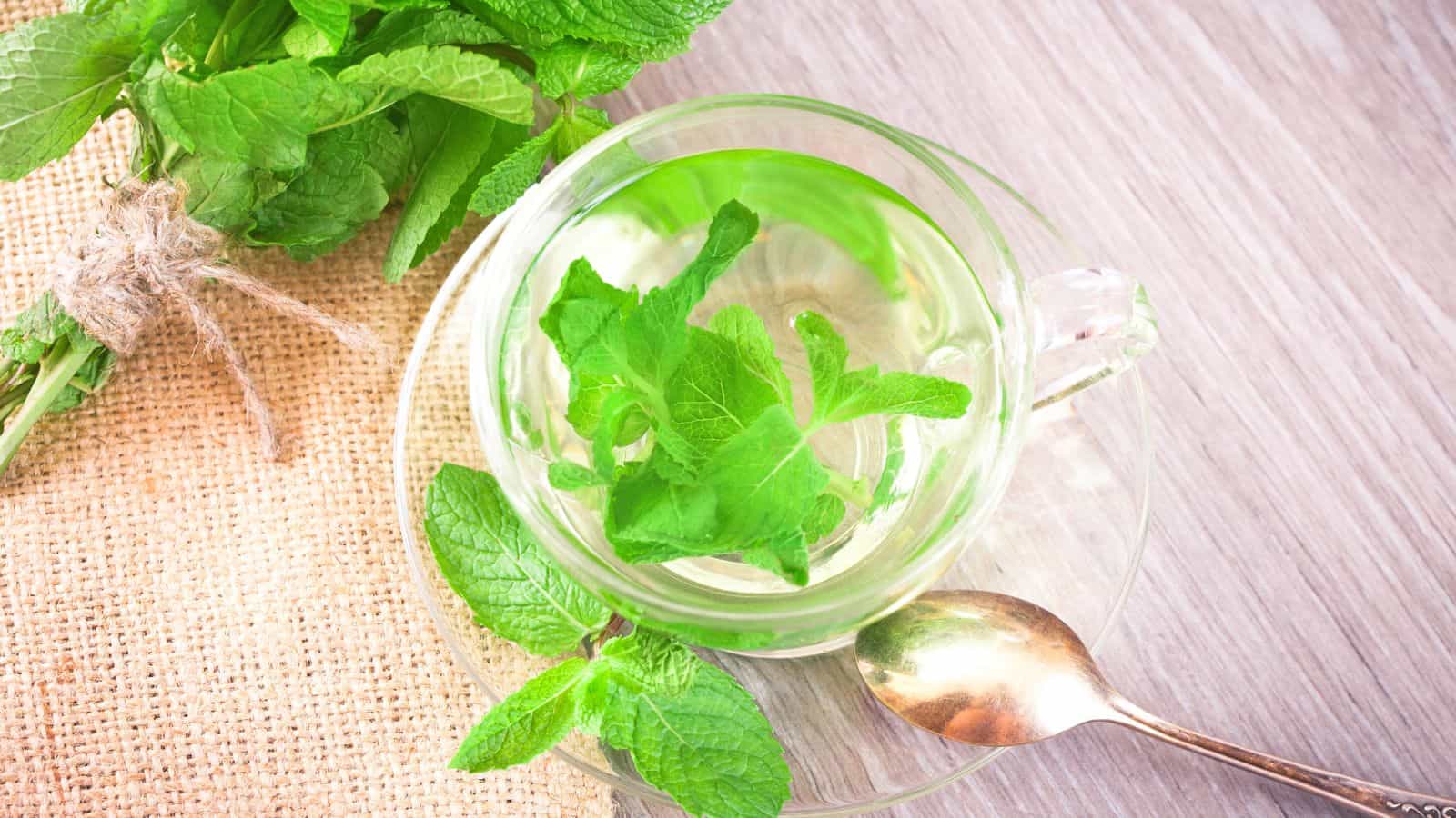 A transparent glass cup filled with mint tea, garnished with fresh mint leaves, placed on a wooden surface. A silver spoon and a small bunch of mint tied with twine rest nearby on a piece of burlap fabric.