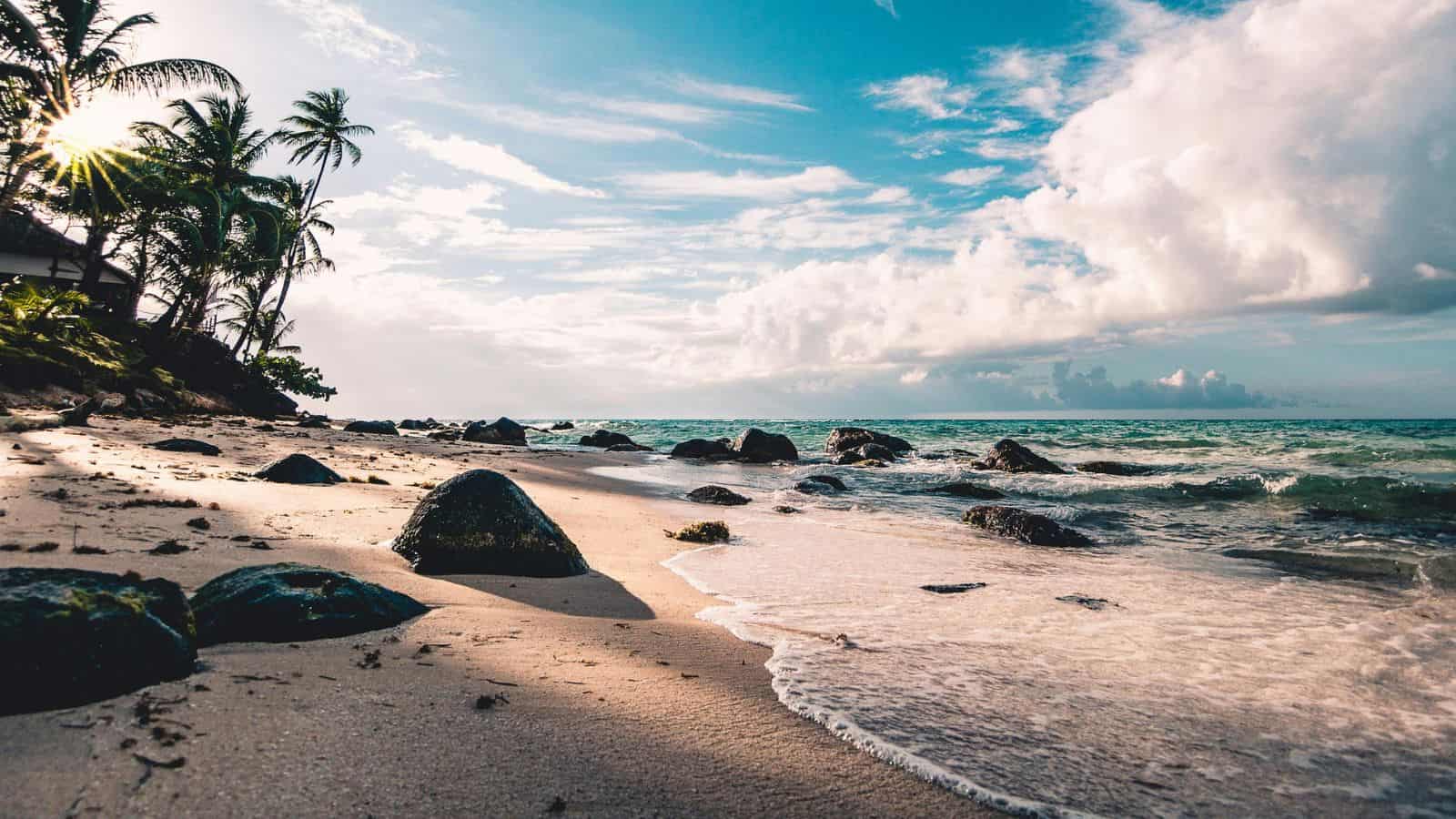 A beach with sand and scattered rocks is shown. The ocean waves gently wash ashore under a partly cloudy sky. Tall palm trees stand on the left, and the sun is partially visible, casting light across the scene.