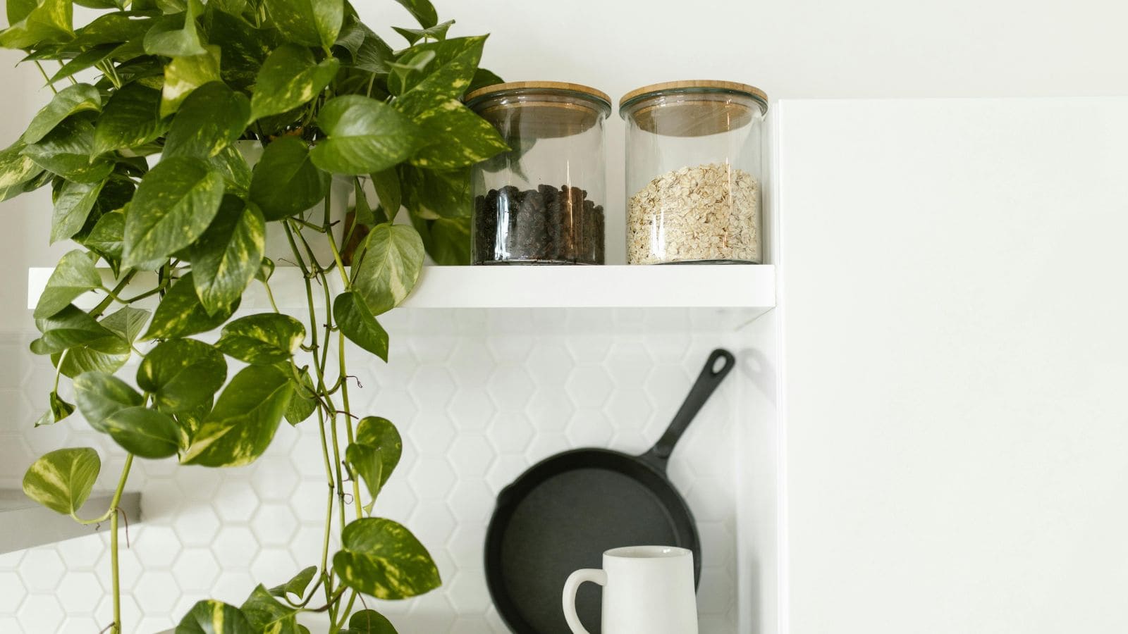 A kitchen shelf with a green plant on the left. Two glass jars containing dried ingredients are placed on the shelf. Below, a black frying pan hangs on a white wall with a hexagonal tile pattern. A white pitcher is also visible.