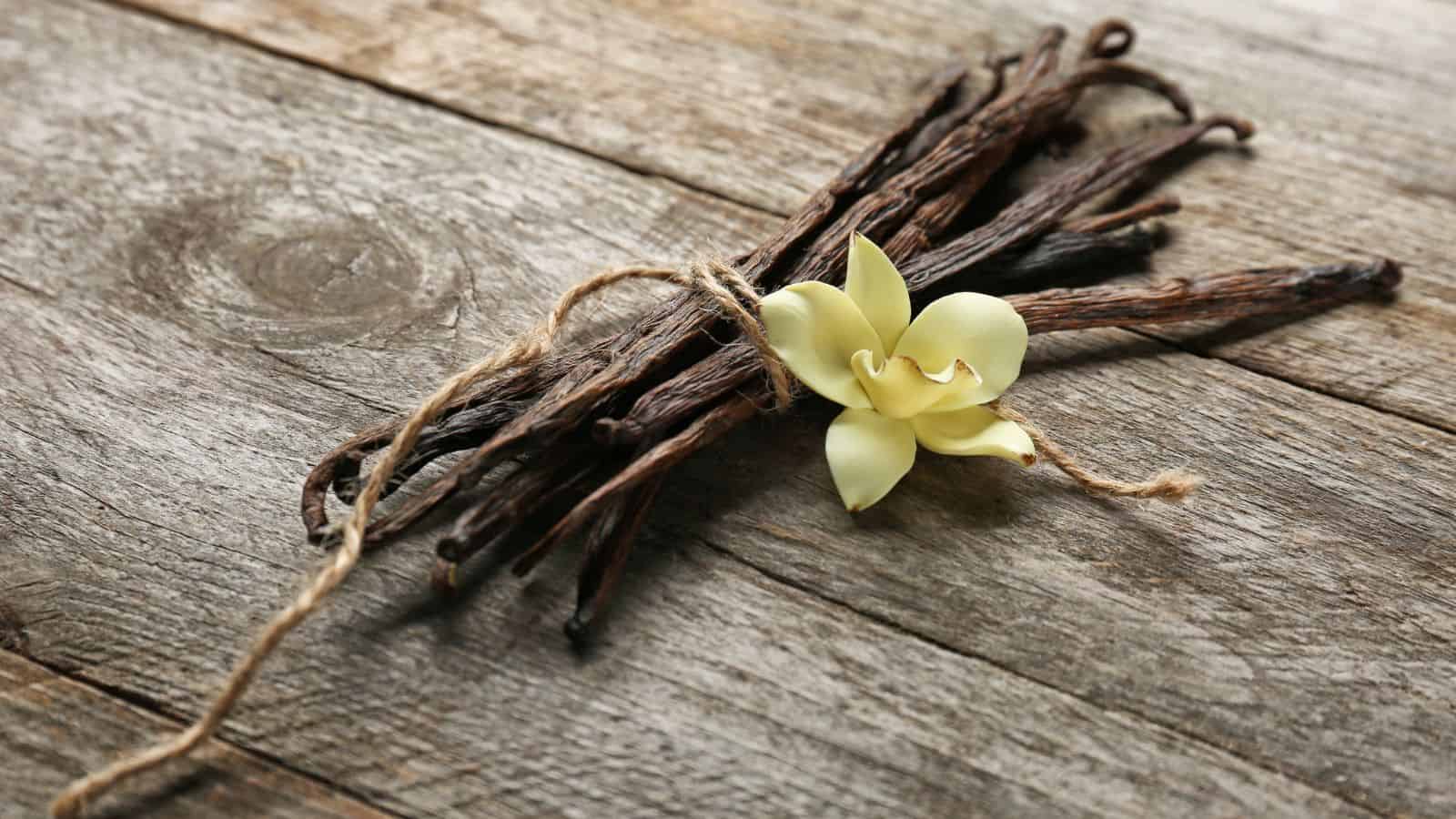 A bundle of dried vanilla pods tied with twine lies on a wooden surface. A light yellow flower is placed on top of the pods.