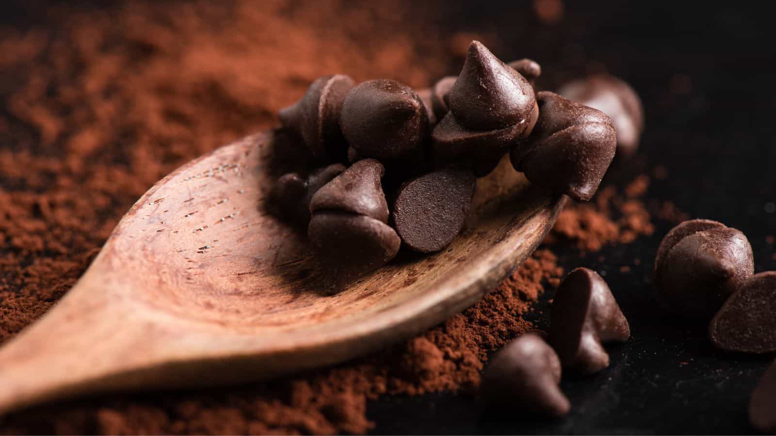 A wooden spoon holds several chocolate chips, with cocoa powder scattered around it on a dark surface. A few chocolate chips are also placed beside the spoon.