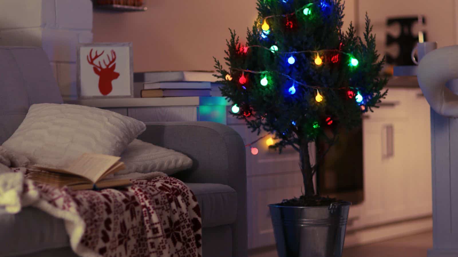 A small potted Christmas tree decorated with colorful lights is placed in a living room. A gray sofa with a red and white blanket and an open book is nearby. A reindeer picture is on the wall, and a few books are stacked behind the sofa.