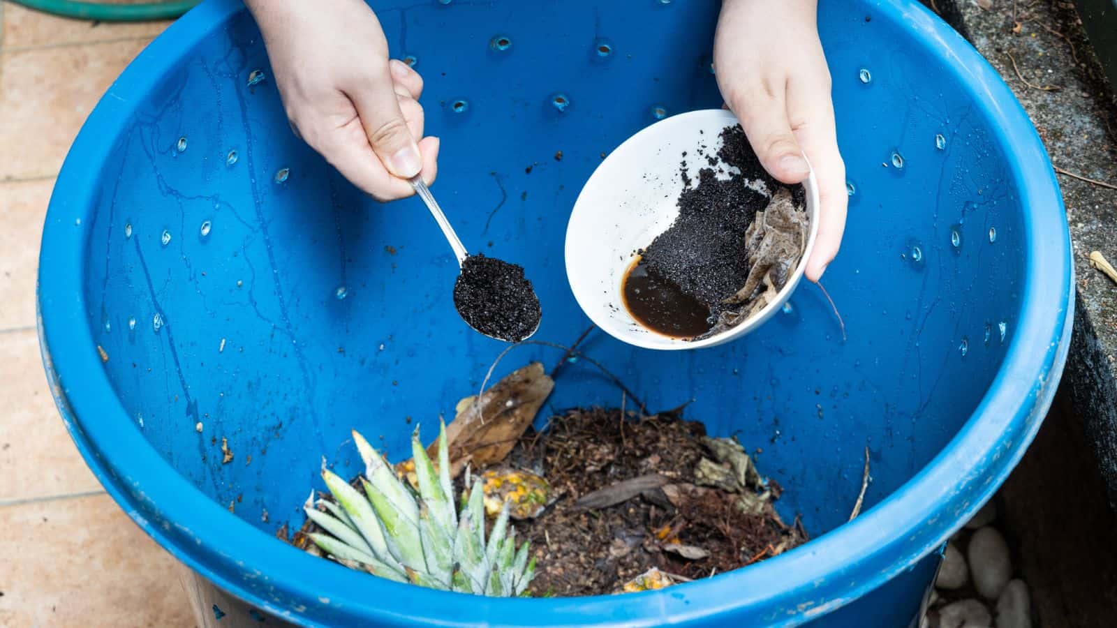 A person adds compostable material and liquid to a blue compost bin. The bin contains food scraps, including a pineapple top and some leaves. The person holds a white bowl and uses a spoon for the process.