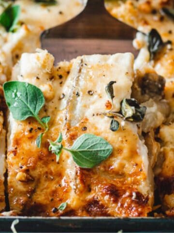 Close-up of a baked dish featuring layers of lasagna topped with melted cheese and fresh green herbs. The dish appears golden brown and is served in a glass baking tray.
