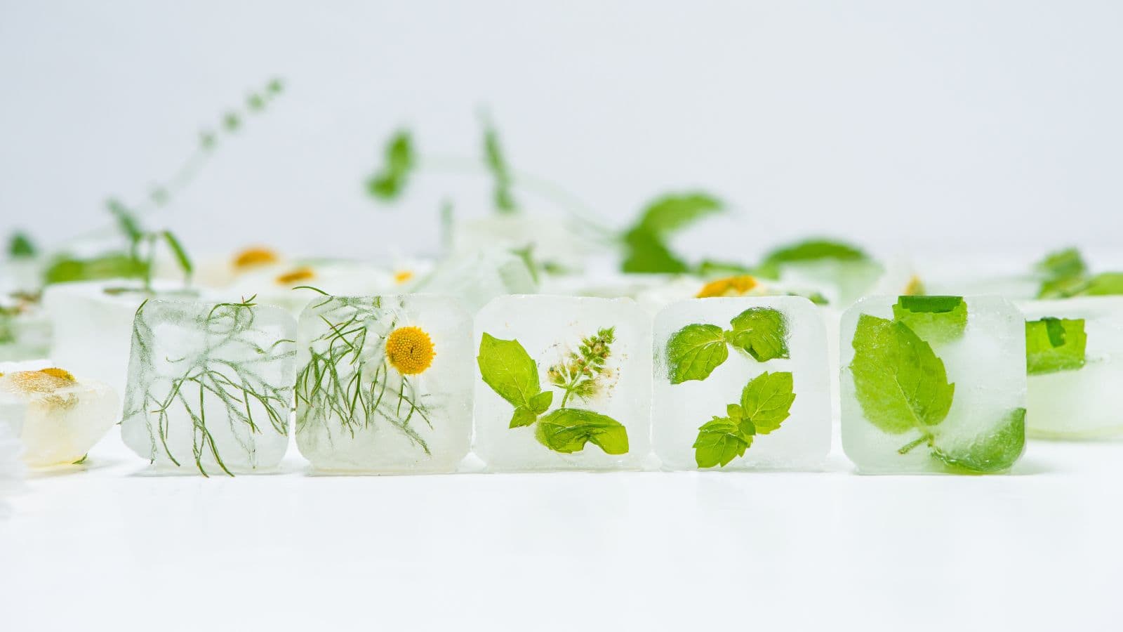 Ice cubes embedded with fresh green herbs and edible flowers, arranged in a row on a white background, showcasing a refreshing, botanical aesthetic.